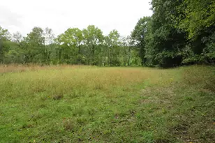 9741 E Cutler Rd, Laingsburg, MI 48848 - Photo 77