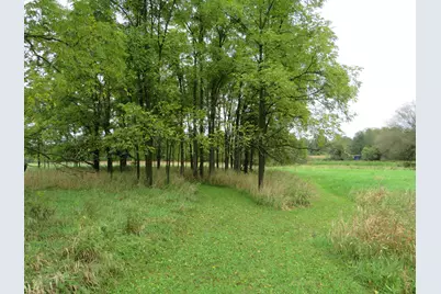 9741 E Cutler Road, Laingsburg, MI 48848 - Photo 55