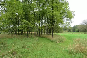 9741 E Cutler Rd, Laingsburg, MI 48848 - Photo 55
