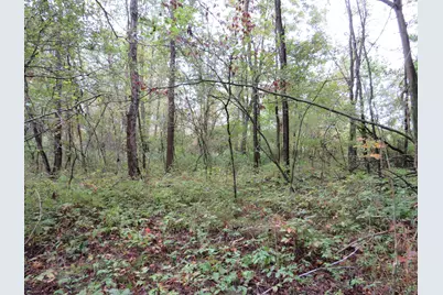 9741 E Cutler Road, Laingsburg, MI 48848 - Photo 115
