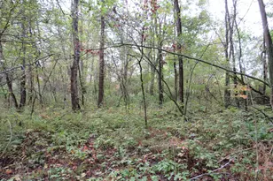 9741 E Cutler Rd, Laingsburg, MI 48848 - Photo 115