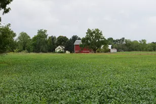 9741 E Cutler Rd, Laingsburg, MI 48848 - Photo 59