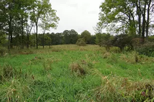 9741 E Cutler Rd, Laingsburg, MI 48848 - Photo 65