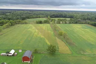 9741 E Cutler Rd, Laingsburg, MI 48848 - Photo 129