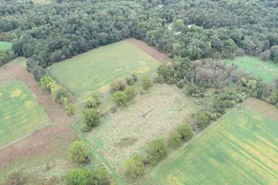 9741 E Cutler Rd, Laingsburg, MI 48848 - Photo 133