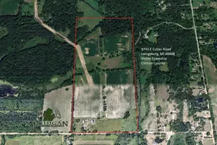 9741 E Cutler Rd, Laingsburg, MI 48848 - Photo 1