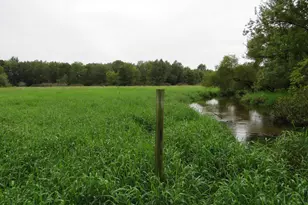 9741 E Cutler Rd, Laingsburg, MI 48848 - Photo 107