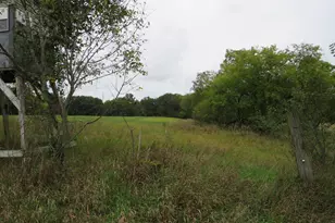 9741 E Cutler Rd, Laingsburg, MI 48848 - Photo 71