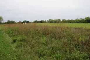 9741 E Cutler Rd, Laingsburg, MI 48848 - Photo 63