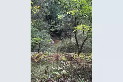 1140 W Freeman Road, Free Soil, MI 49411 - Photo 23