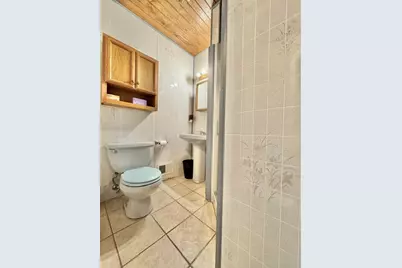156 Florence Street, Woodland, MI 48897 - Photo 33