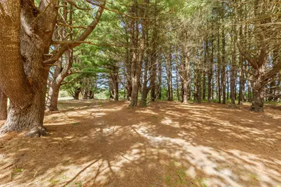 9437 N Bailey Road, Howard City, MI 49329 - Photo 29