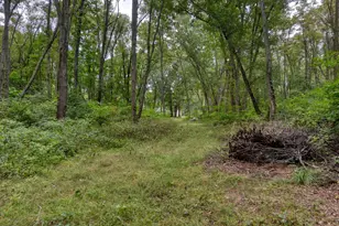 1323 Stateline Rd, Niles, MI 49120 - Photo 11