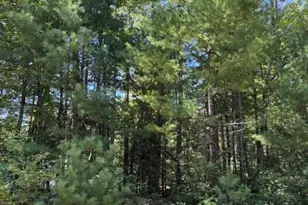 V/L S Pershing Rd, Baldwin, MI 49304 - Photo 1