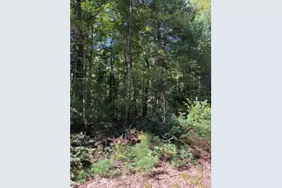 V/L S Pershing Road, Baldwin, MI 49304 - Photo 3