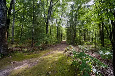 17349 Hoxeyville Road, Wellston, MI 49689 - Photo 3