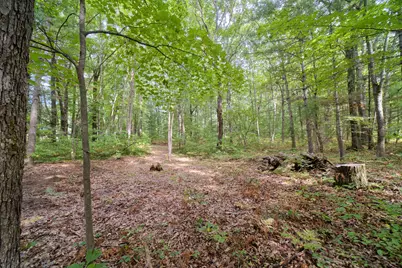 17349 Hoxeyville Road, Wellston, MI 49689 - Photo 63