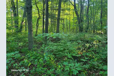 0 Buchanan Street, Grand Haven, MI 49417 - Photo 23