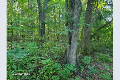 0 Buchanan Street, Grand Haven, MI 49417 - Photo 25