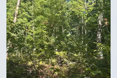 9 Mile Road, Stanwood, MI 49346 - Photo 5
