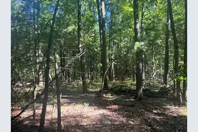 9 Mile Road, Stanwood, MI 49346 - Photo 1