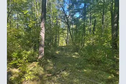 9 Mile Road, Stanwood, MI 49346 - Photo 7