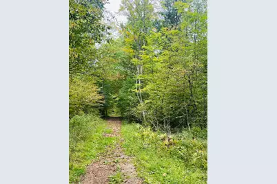00 200th Avenue, Stanwood, MI 49346 - Photo 1