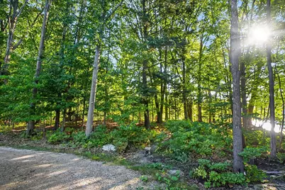0 Pless Lane, Spring Lake, MI 49456 - Photo 5