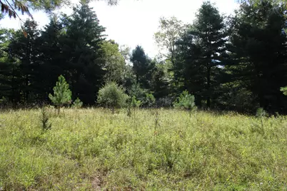 812 S Lorenz Road, Tawas City, MI 48763 - Photo 73