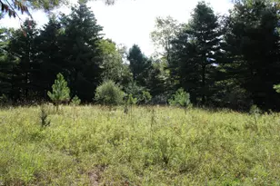 812 S Lorenz Rd, Tawas City, MI 48763 - Photo 73