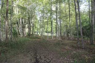 812 S Lorenz Rd, Tawas City, MI 48763 - Photo 91