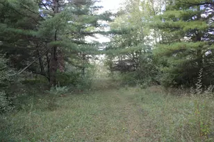 812 S Lorenz Rd, Tawas City, MI 48763 - Photo 71