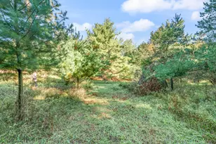 10688 N Sherman Rd, Barryton, MI 49305 - Photo 53