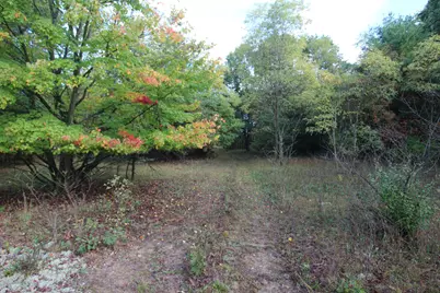 River Ranch Road, Hersey, MI 49639 - Photo 7