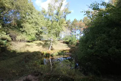 River Ranch Road, Hersey, MI 49639 - Photo 13