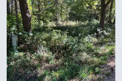 Polp Centerline, Newaygo, MI 49337 - Photo 3