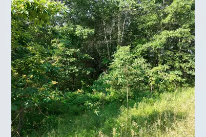 6539 E Madison Road, Walkerville, MI 49459 - Photo 13