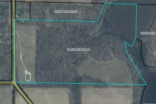 53901 Finch Rd, Marcellus, MI 49067 - Photo 3