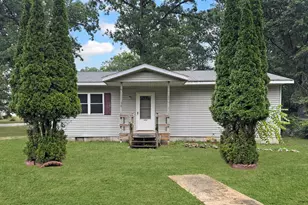 912 E James St, White Cloud, MI 49349 - Photo 1
