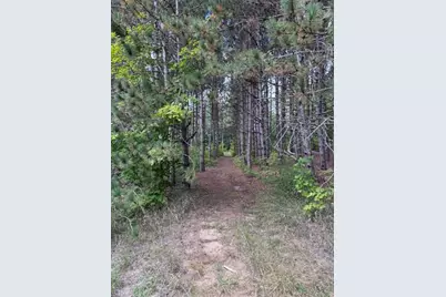 1 Acre Crestview/Us Highway 10, Reed City, MI 49677 - Photo 9