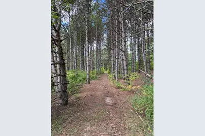 1 Acre Crestview/Us Highway 10, Reed City, MI 49677 - Photo 3