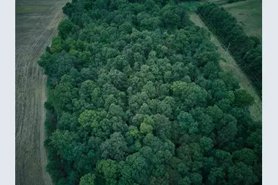 Herl Road, Bronson, MI 49028 - Photo 13