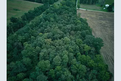 Herl Road, Bronson, MI 49028 - Photo 9