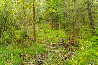 6932 E Houghton Lake Road, Merritt, MI 49667 - Photo 31