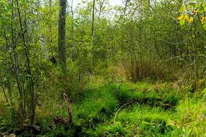 6932 E Houghton Lake Road, Merritt, MI 49667 - Photo 21