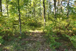 983 E McCork, Idlewild, MI 49642 - Photo 15