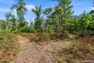 4152 E Creek Wood Dr, Chase, MI 49623 - Photo 27