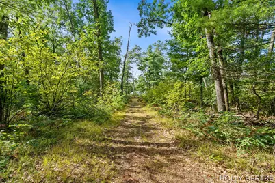 4152 E Creek Wood Drive, Chase, MI 49623 - Photo 31
