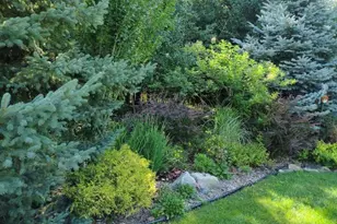 6900 Wellington Dr, Dexter, MI 48130 - Photo 27