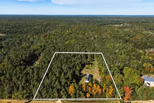 11575 Gordon Rd, Newaygo, MI 49337 - Photo 45